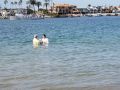 IMG 7964